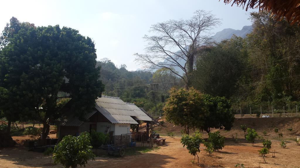 Doo-Dao-Doi Farm & Stay Chiang Dao Buitenkant foto
