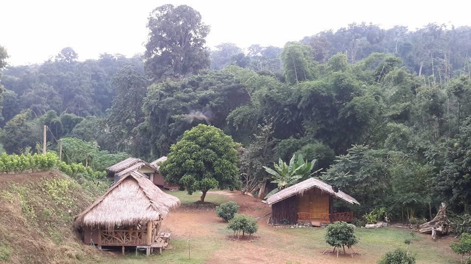 Doo-Dao-Doi Farm & Stay Chiang Dao Buitenkant foto