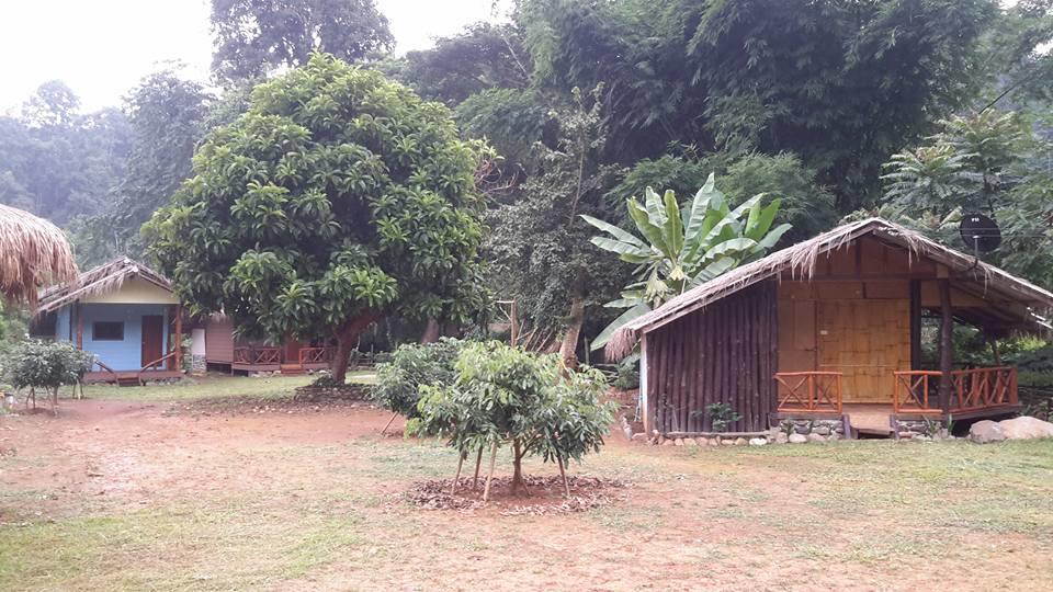 Doo-Dao-Doi Farm & Stay Chiang Dao Buitenkant foto