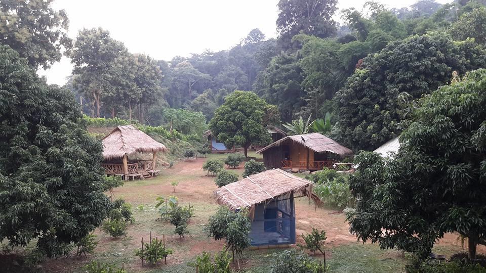 Doo-Dao-Doi Farm & Stay Chiang Dao Buitenkant foto