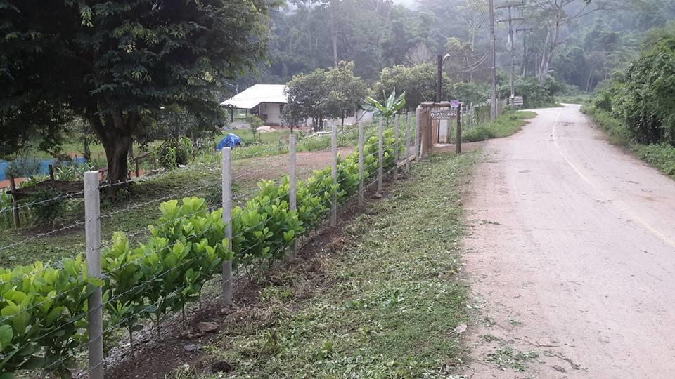 Doo-Dao-Doi Farm & Stay Chiang Dao Buitenkant foto